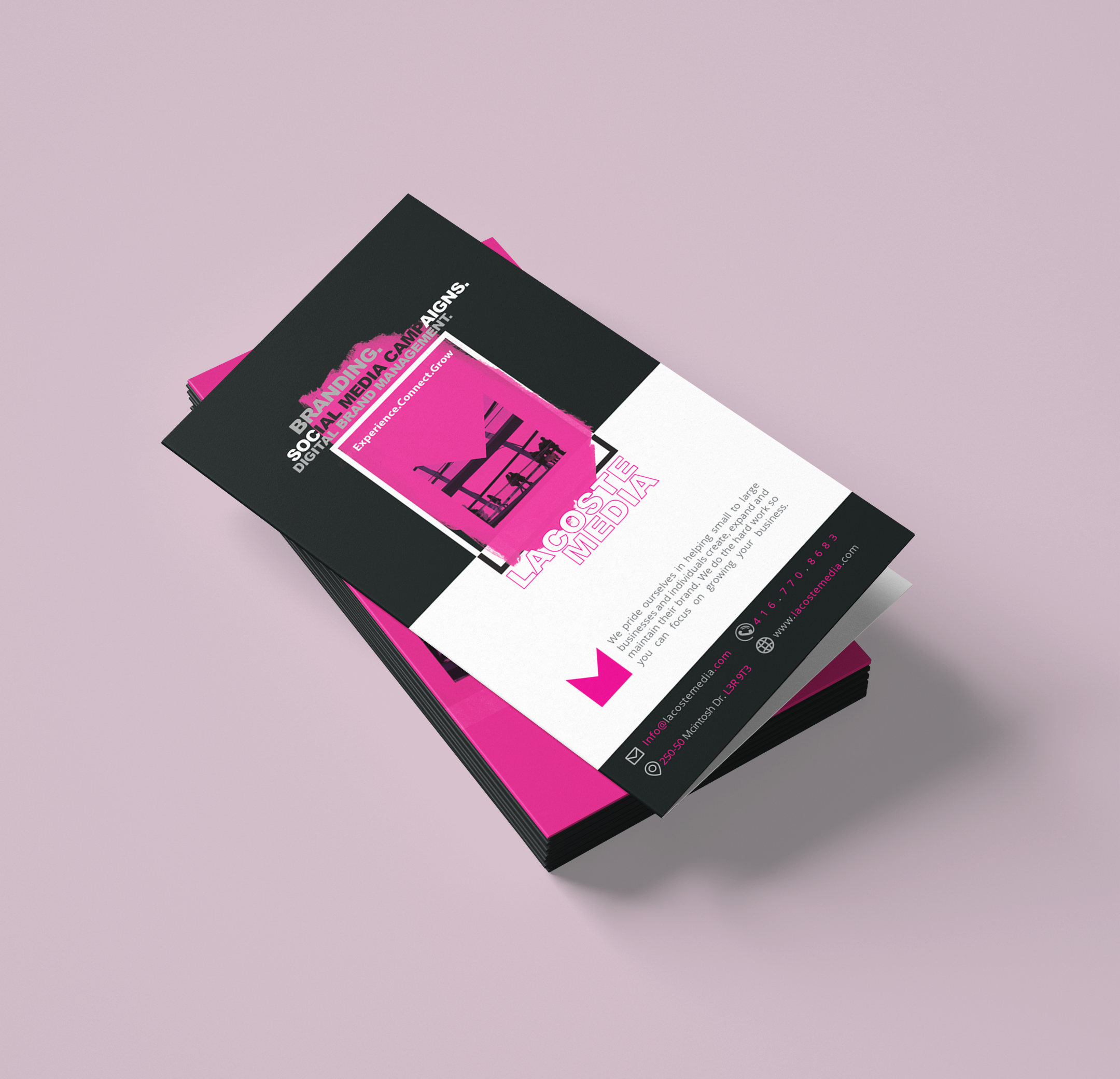 Haleh-Portfolio