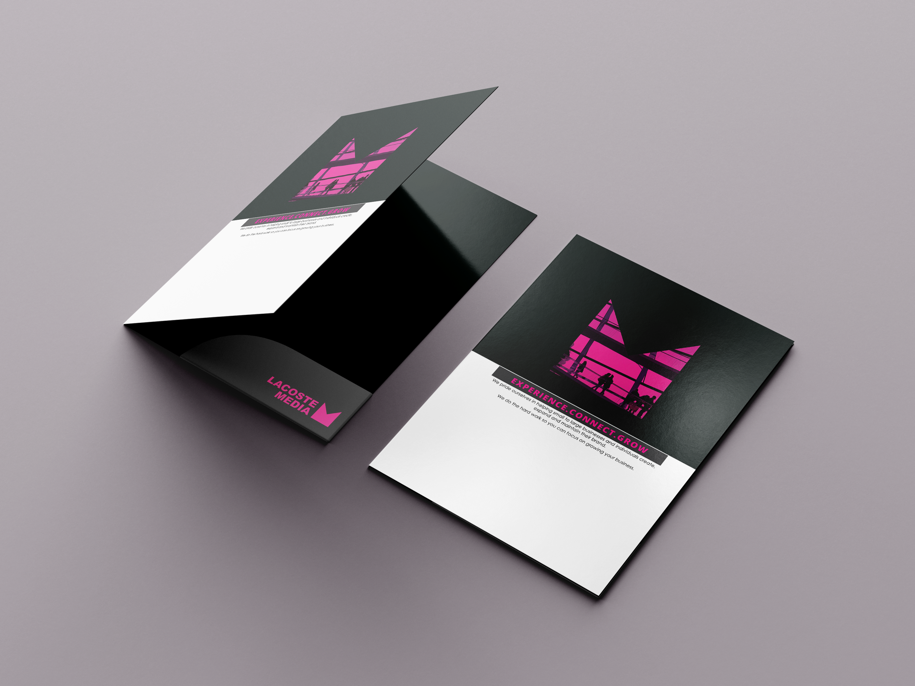 Haleh-Portfolio-Details