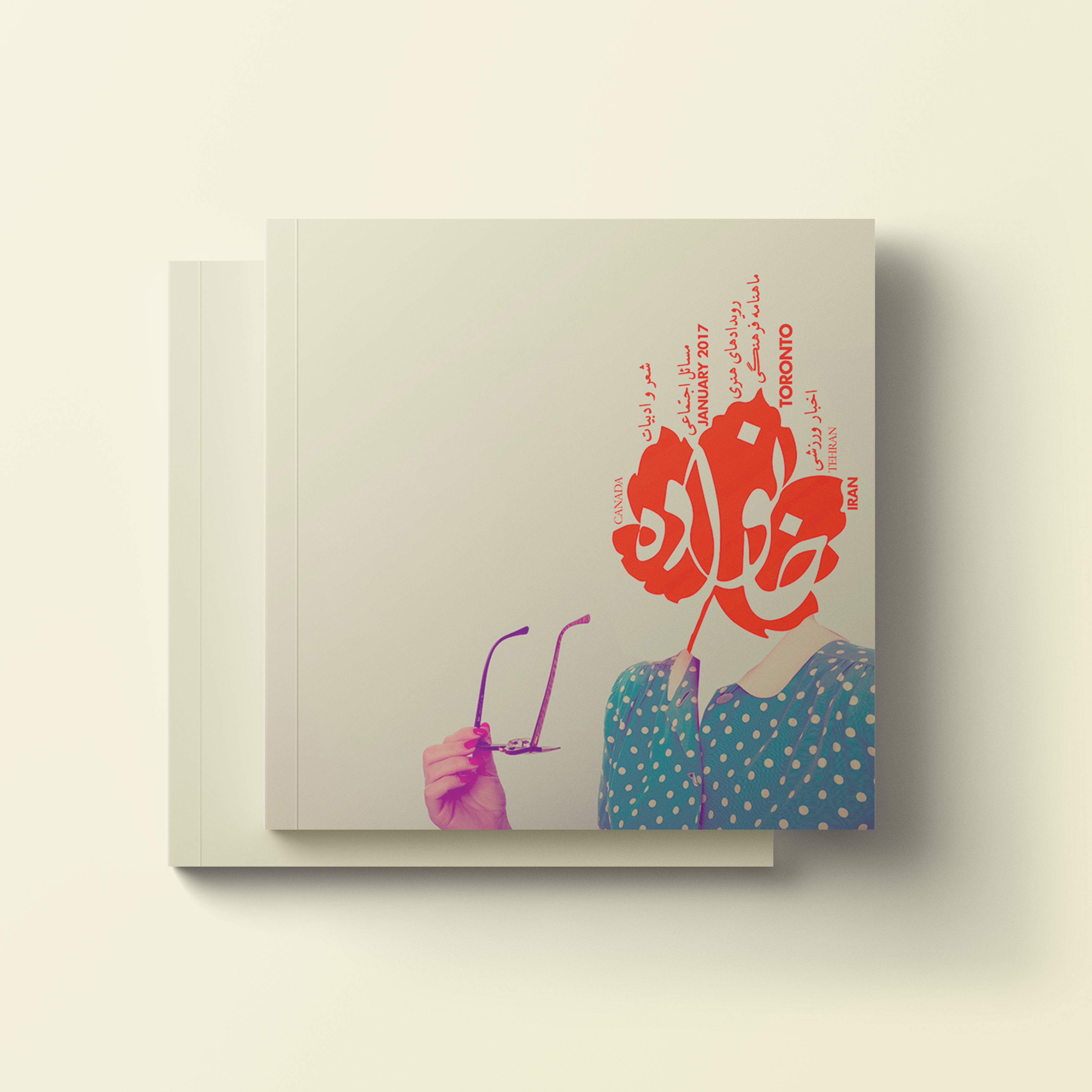 Haleh-Portfolio