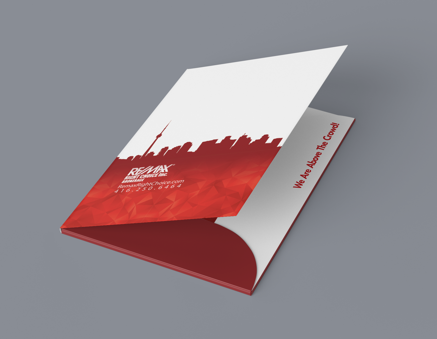 Haleh-Portfolio-Details